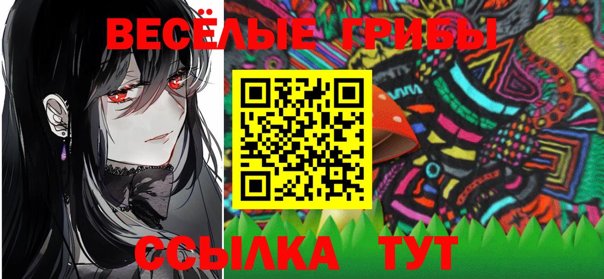 Псилоцибиновые грибы Psilocybine cubensis Хабаровск